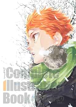 Amazon.com: HAIKYU !! COMPLETE ILLUSTRATION BOOK (ARTBOOK VO